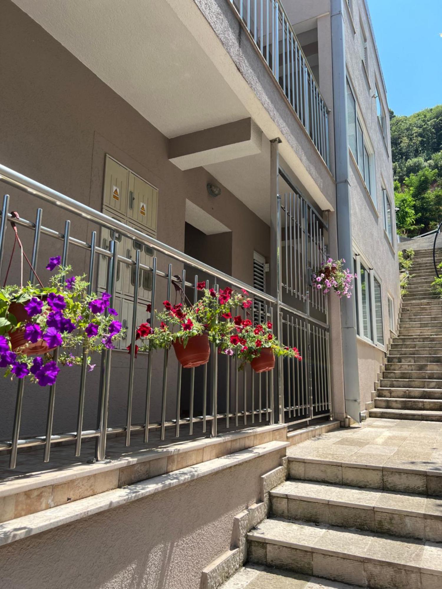 Guest House Mrvaljevic Budva Luaran gambar